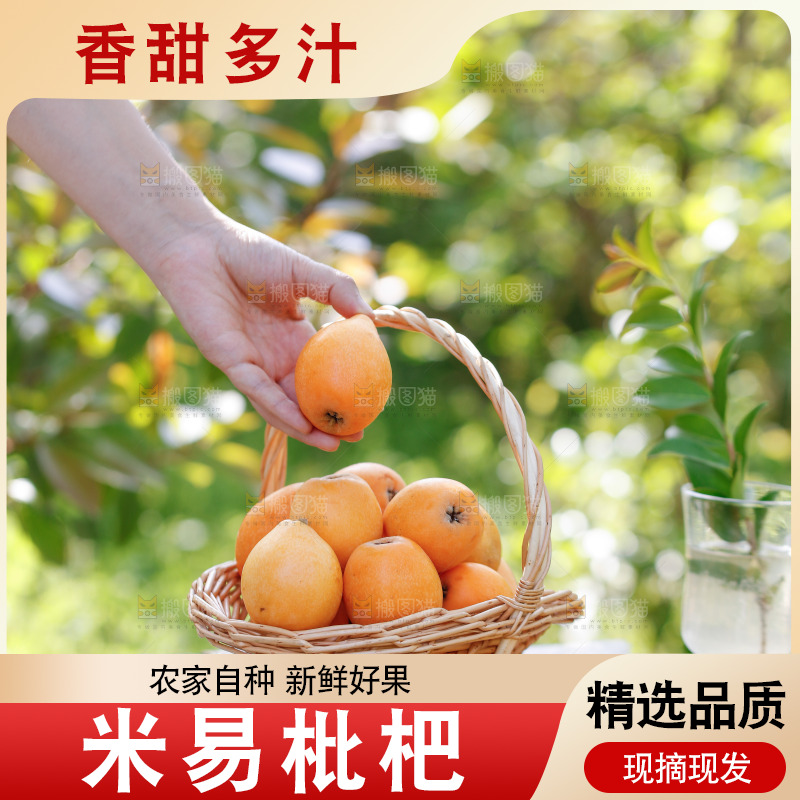 桌子上放着米易枇杷