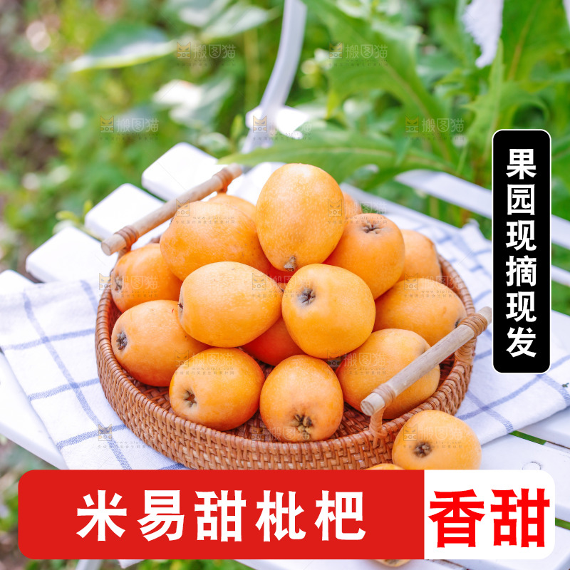 桌子上放着米易枇杷