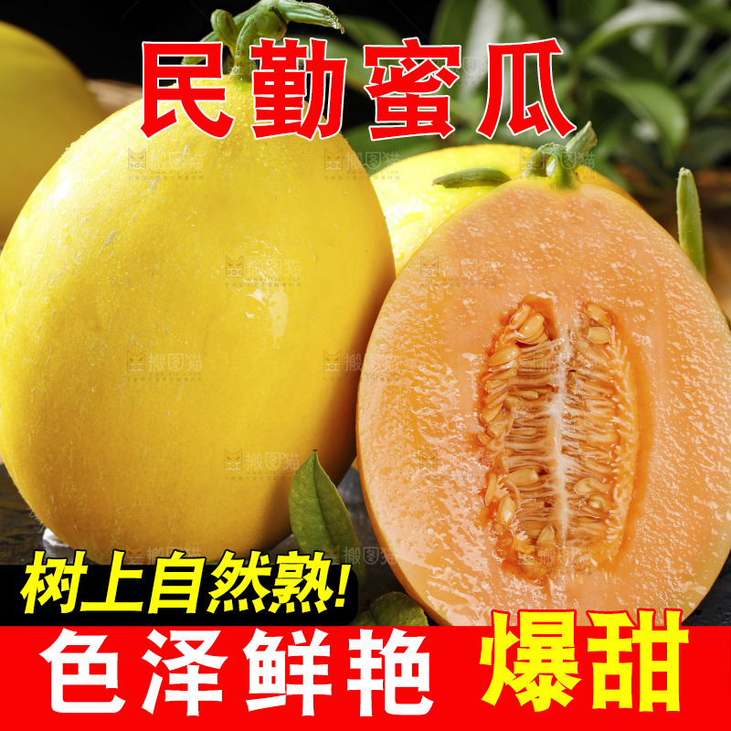 深底上的黄河蜜瓜