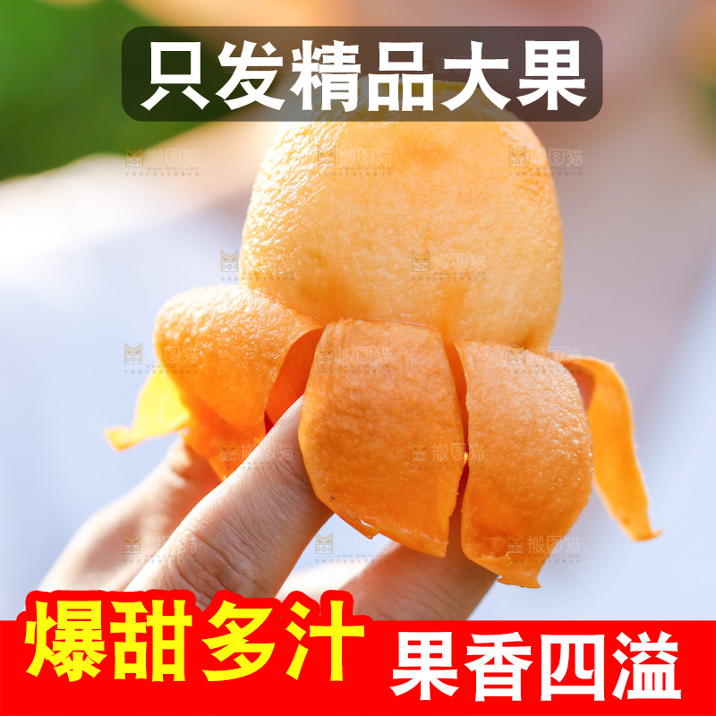 手里拿着米易枇杷