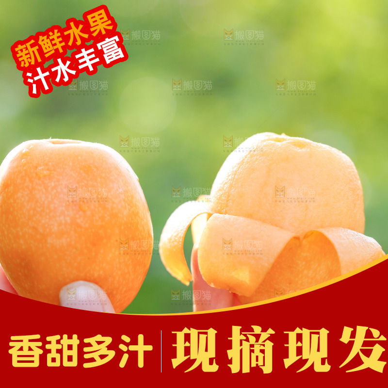 手里拿着米易枇杷