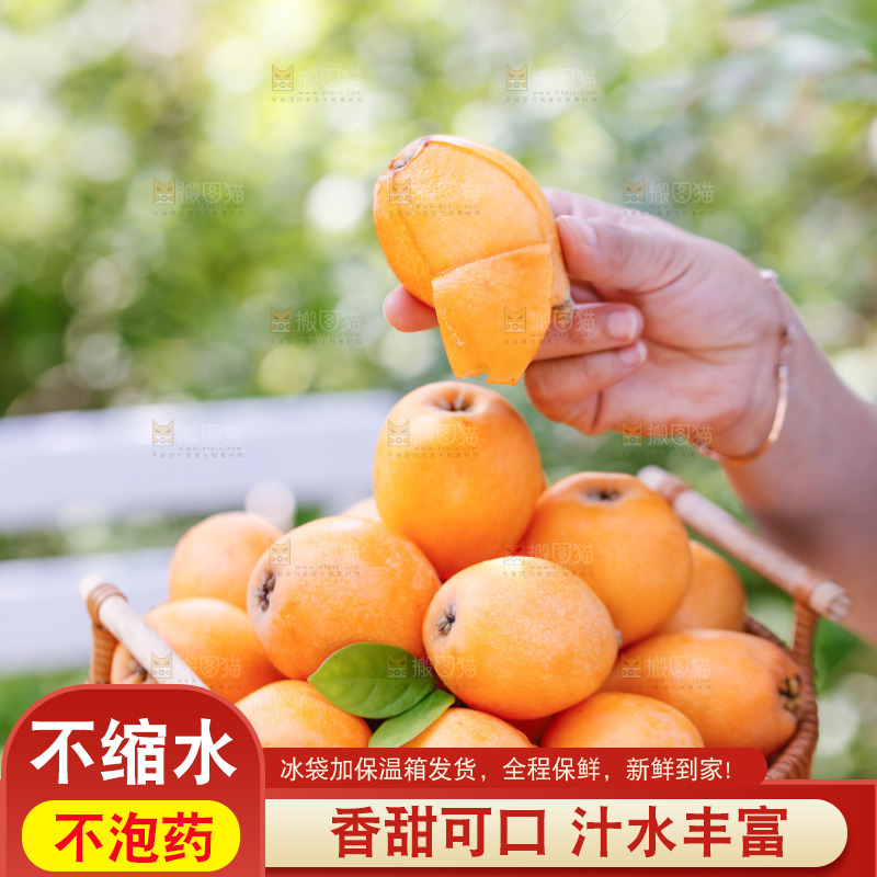 手里拿着米易枇杷