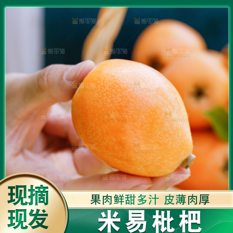 手里拿着米易枇杷