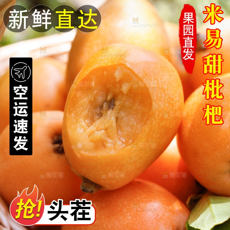 手里拿着米易枇杷