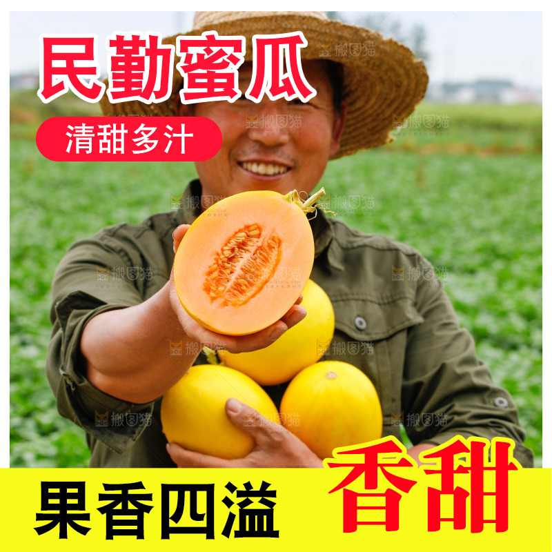 手里拿着的黄河蜜瓜