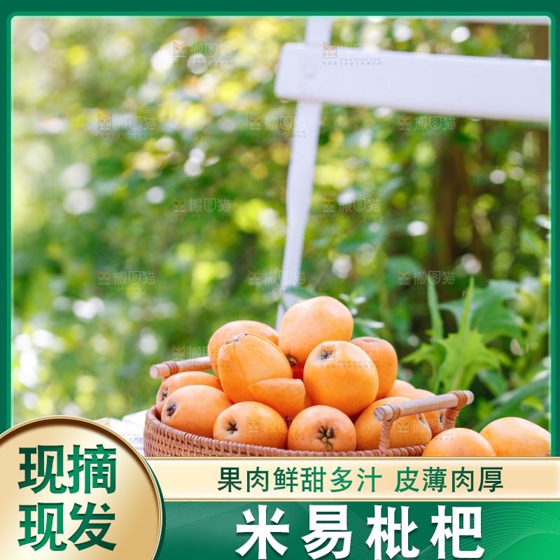桌子上放着米易枇杷