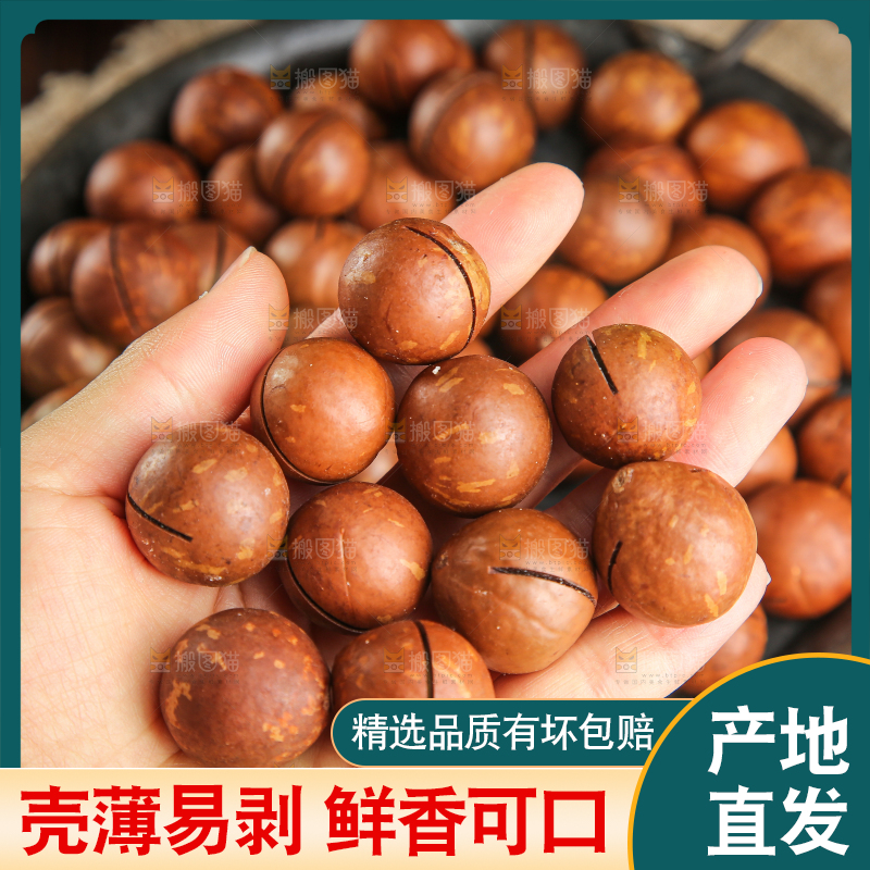 深底上的夏威夷果