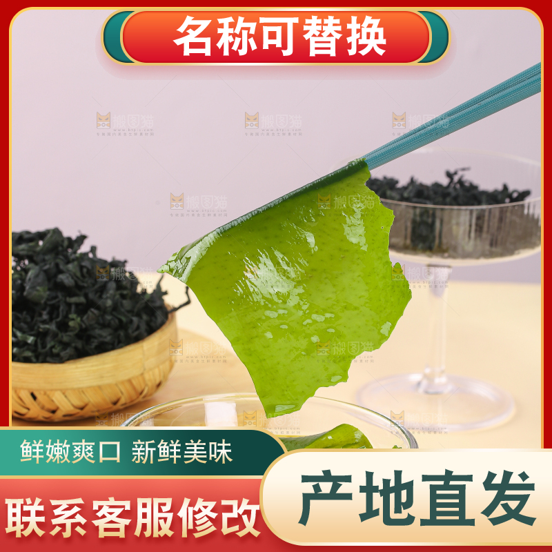 浅底上的裙带菜