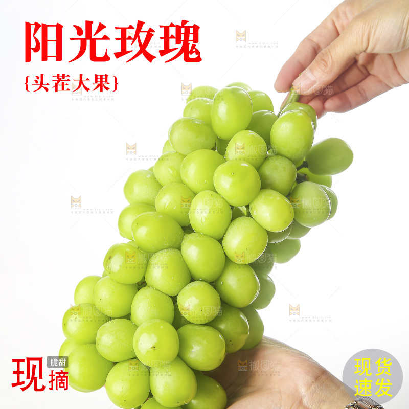 白底上的阳光玫瑰青提