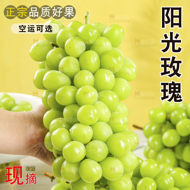 浅底上的阳光玫瑰青提