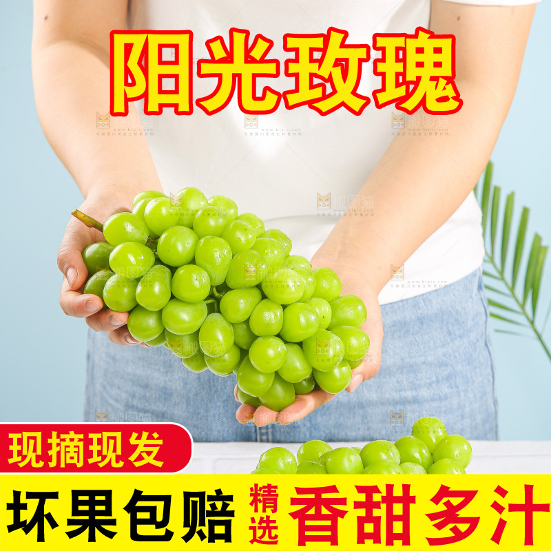 浅底上的阳光玫瑰青提