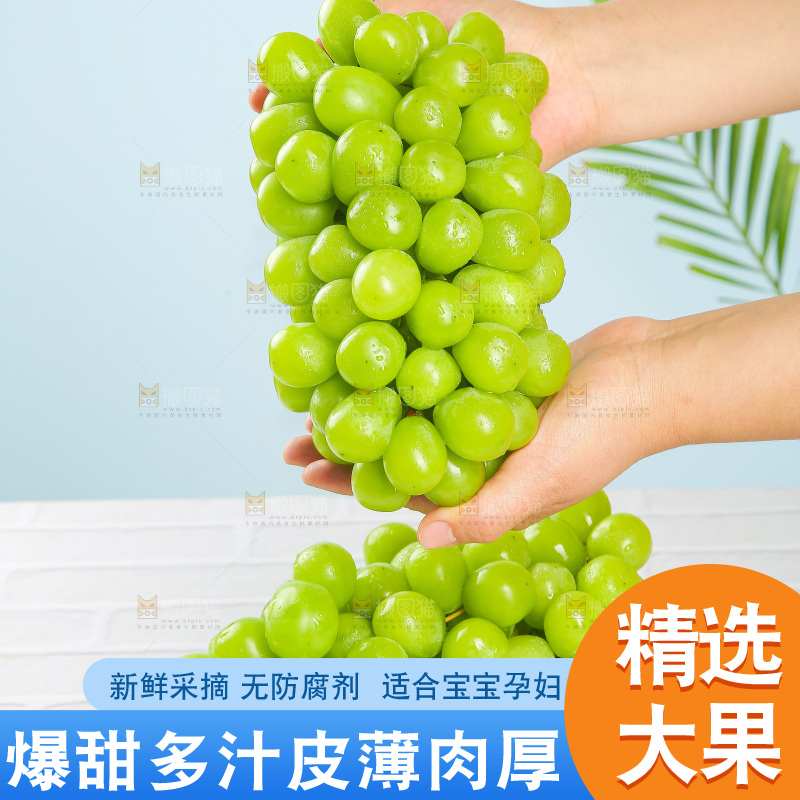 浅底上的阳光玫瑰青提