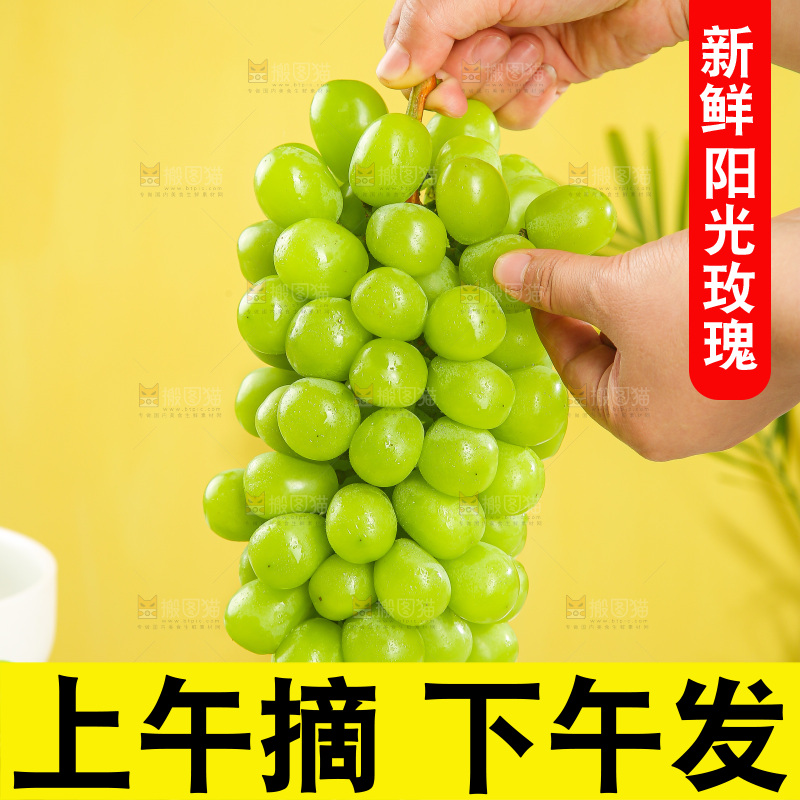 浅底上的阳光玫瑰青提