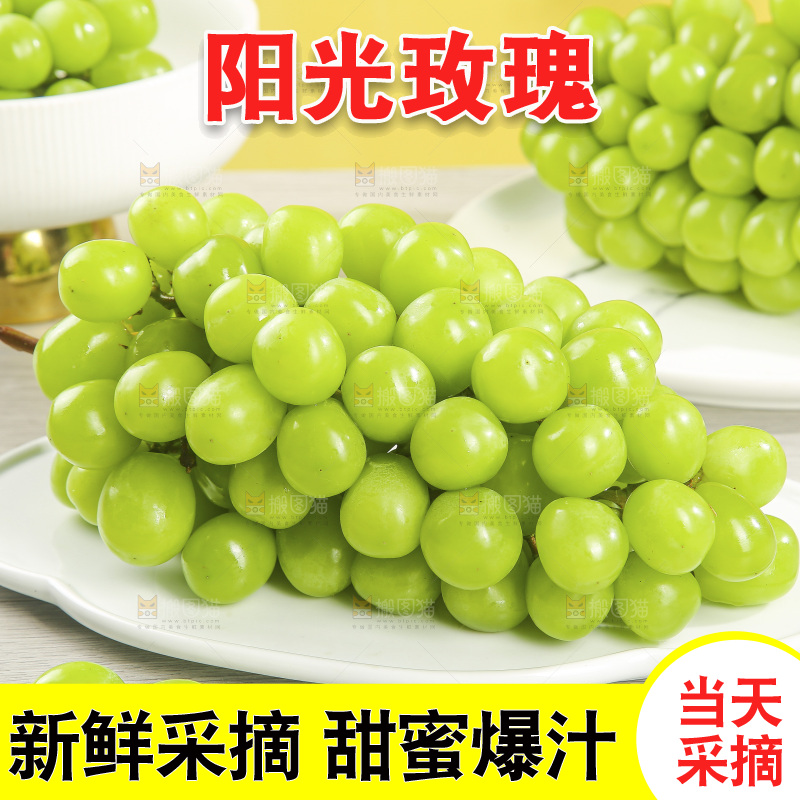浅底上的阳光玫瑰青提