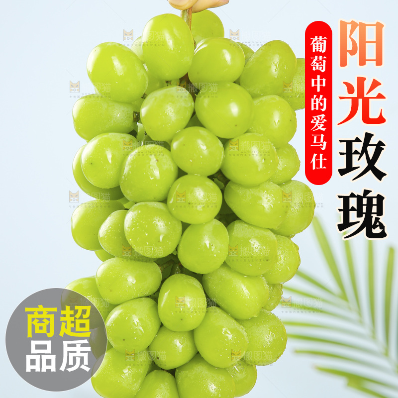 浅底上的阳光玫瑰青提