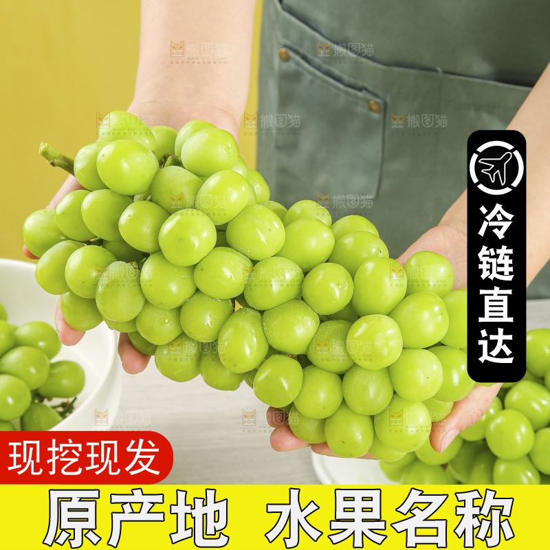 浅底上的阳光玫瑰青提