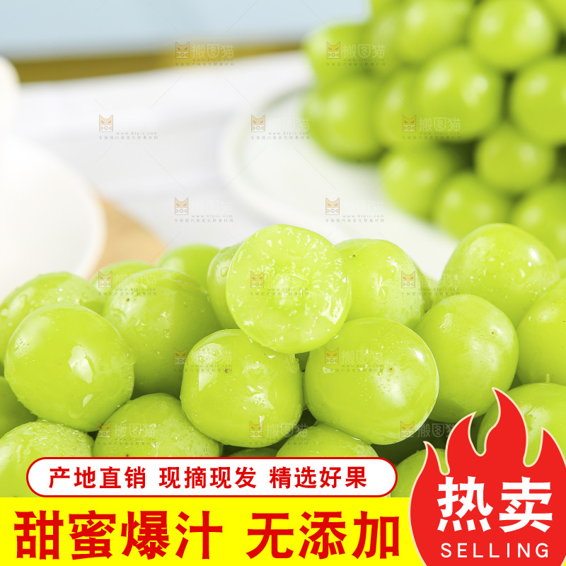 浅底上的阳光玫瑰青提