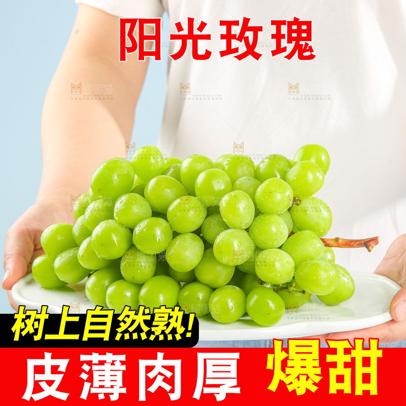 浅底上的阳光玫瑰青提