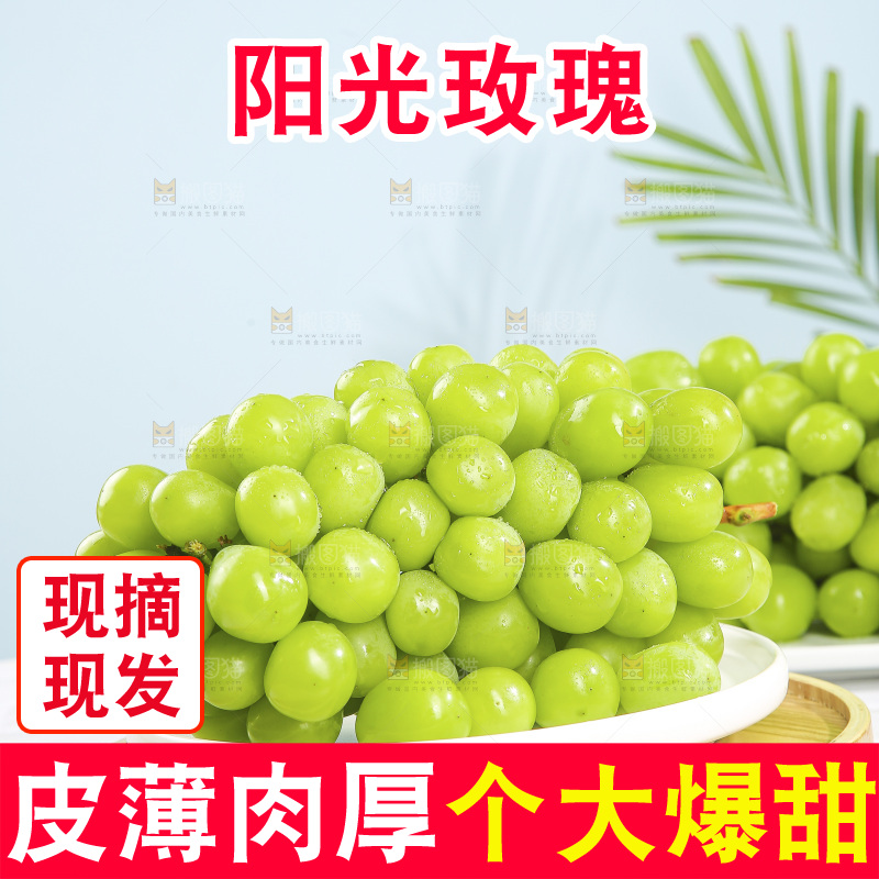 浅底上的阳光玫瑰青提