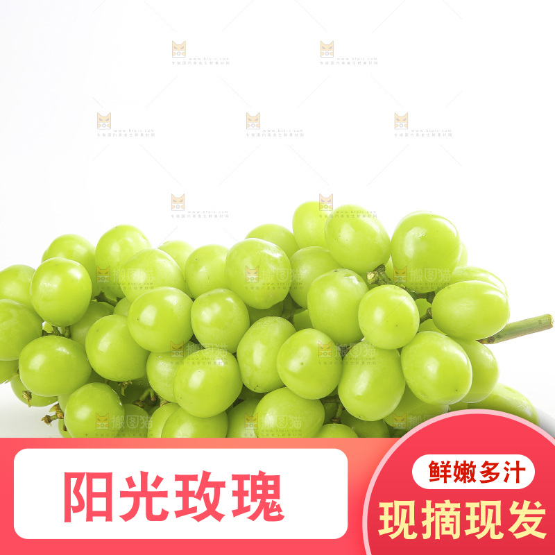 白底上的阳光玫瑰青提