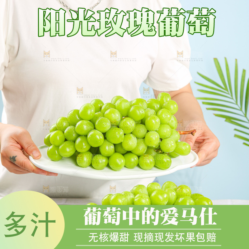 浅底上的阳光玫瑰青提