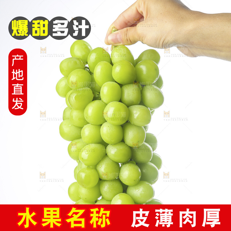 白底上的阳光玫瑰青提
