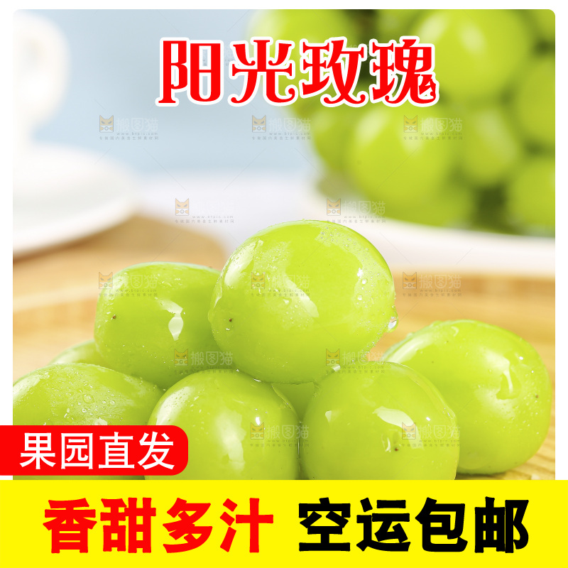 浅底上的阳光玫瑰青提