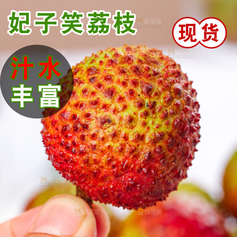 浅底上的妃子笑荔枝