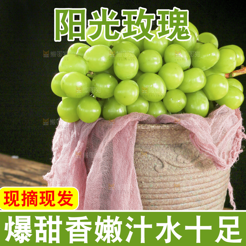 木底上的阳光玫瑰青提