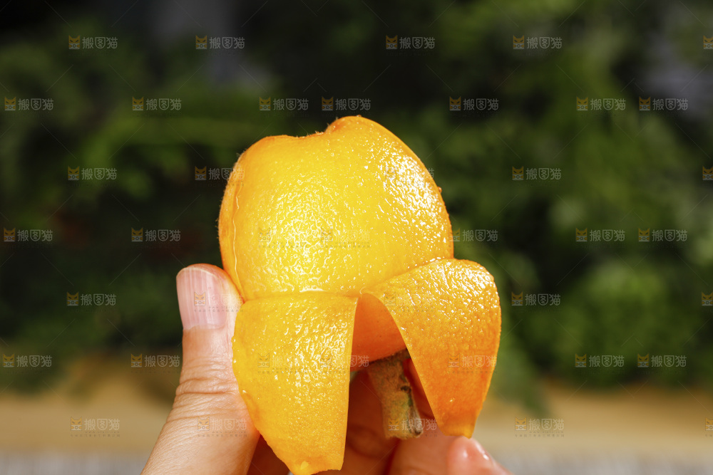 深底上的枇杷