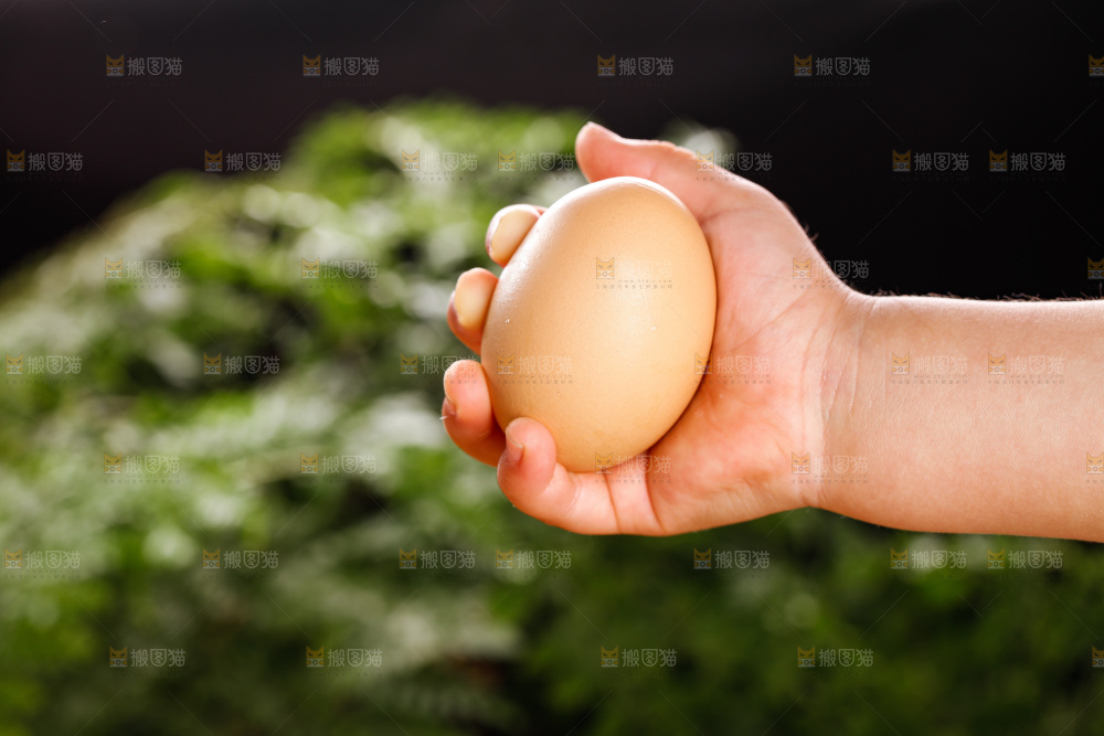 深底上的枇杷