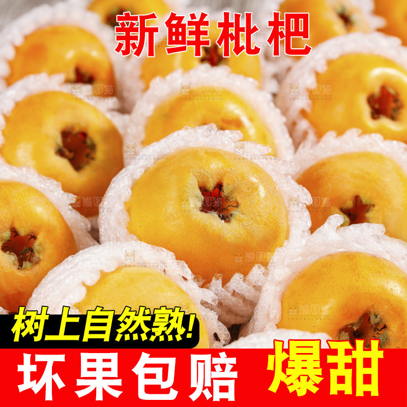 枇杷主图