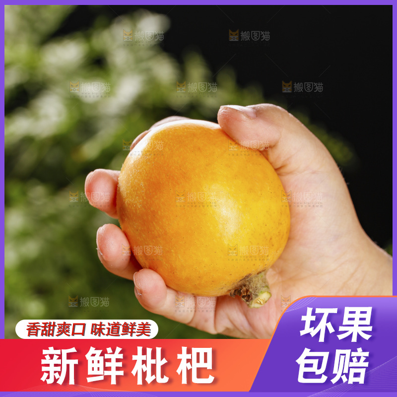 深底上的枇杷