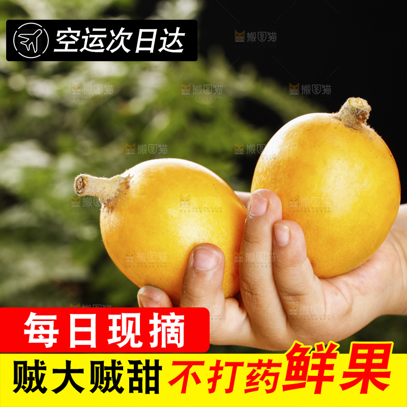 深底上的枇杷