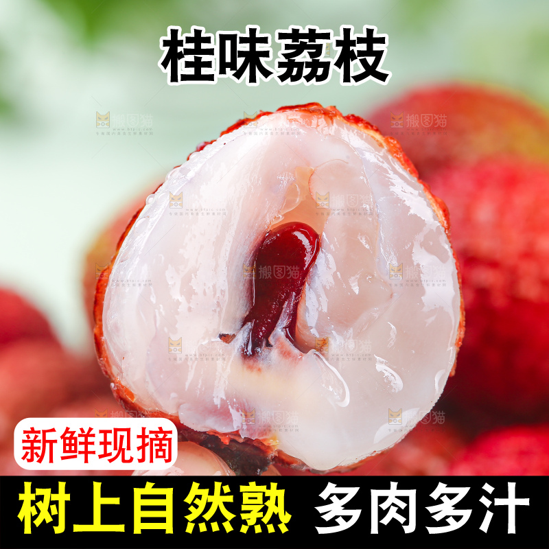 浅底上的桂味荔枝