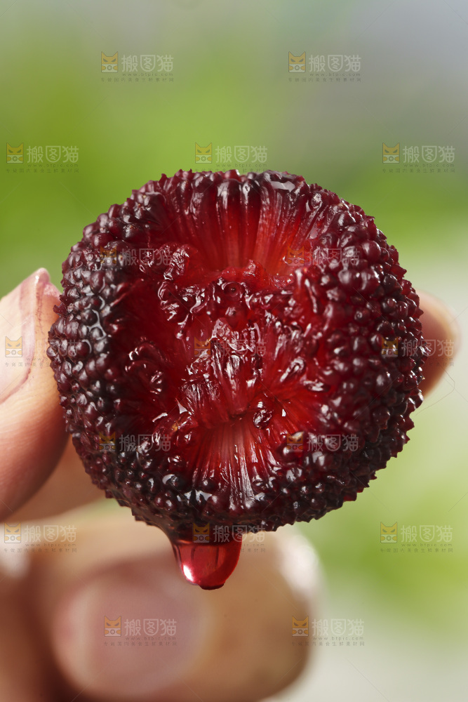 深底上的杨梅鲜果