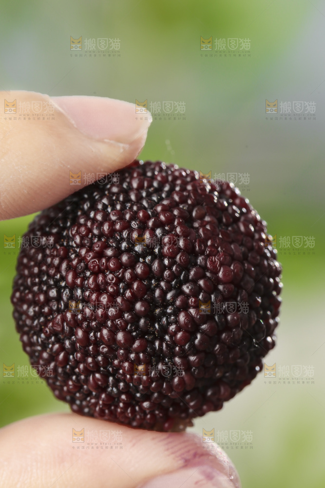 深底上的新鲜杨梅