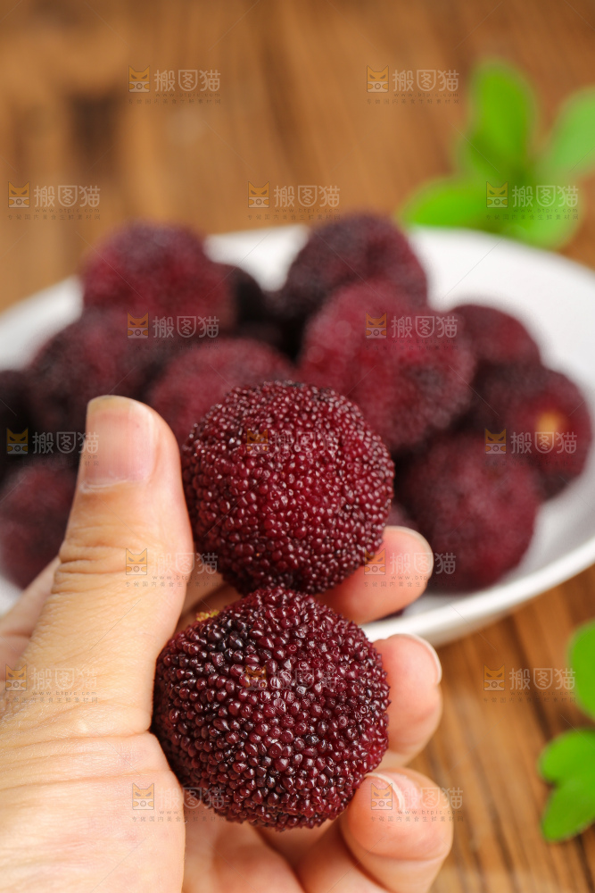 木底上的仙居杨梅