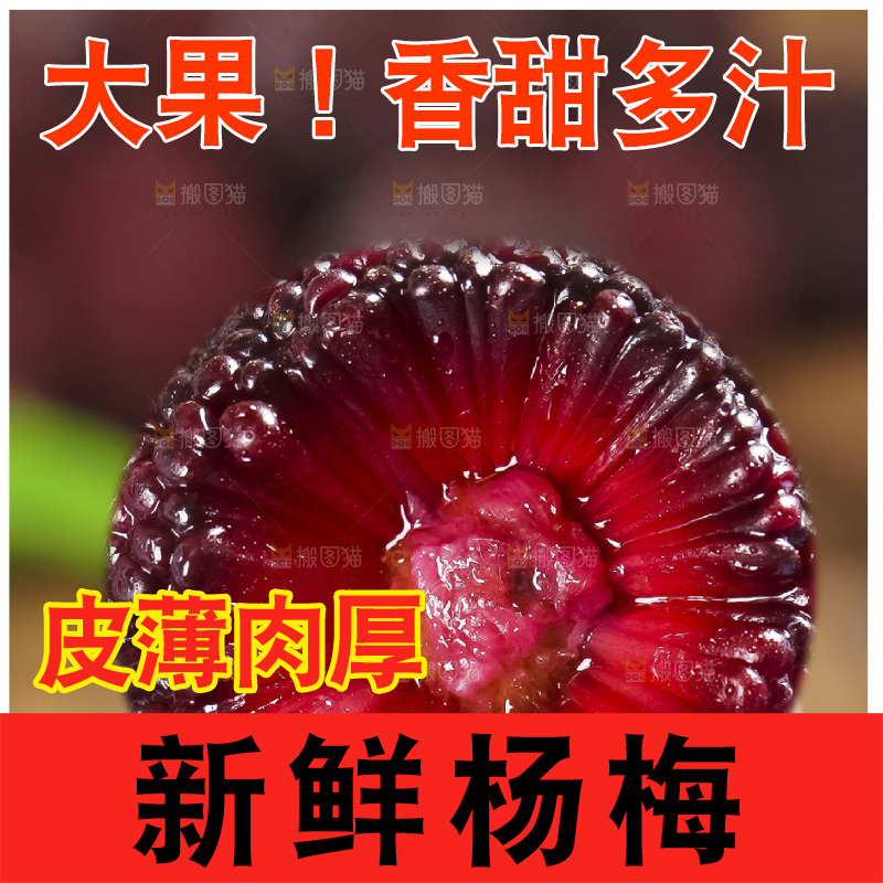 木底上的仙居杨梅