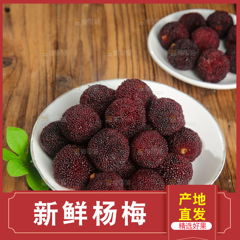 木底上的仙居杨梅