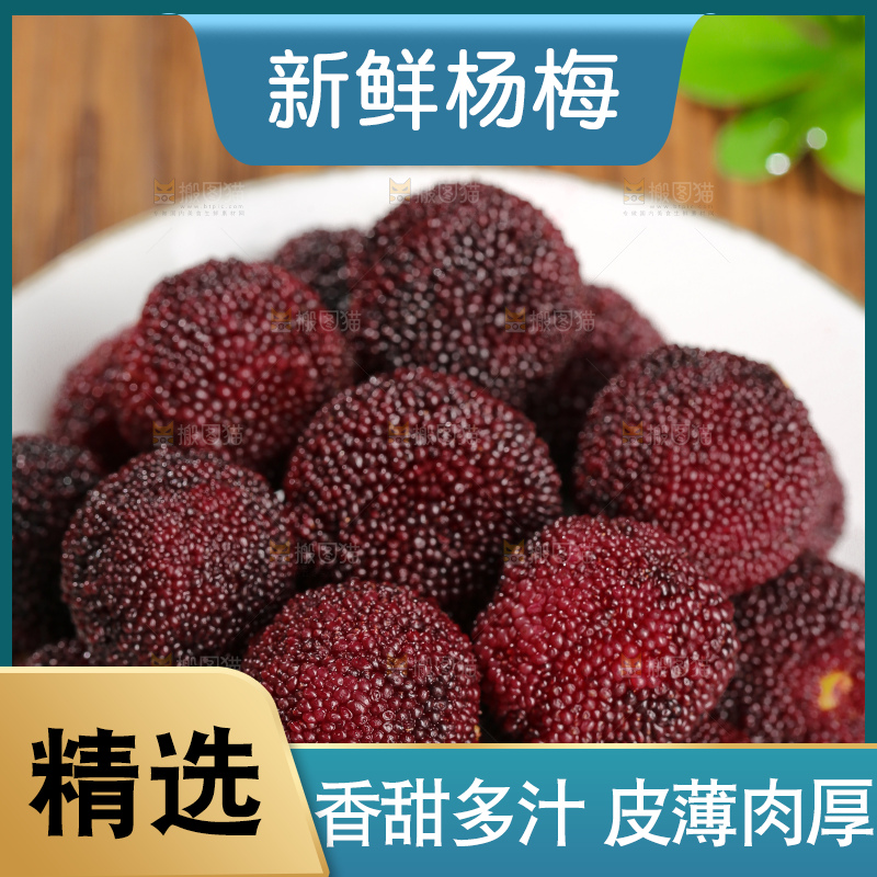 木底上的仙居杨梅