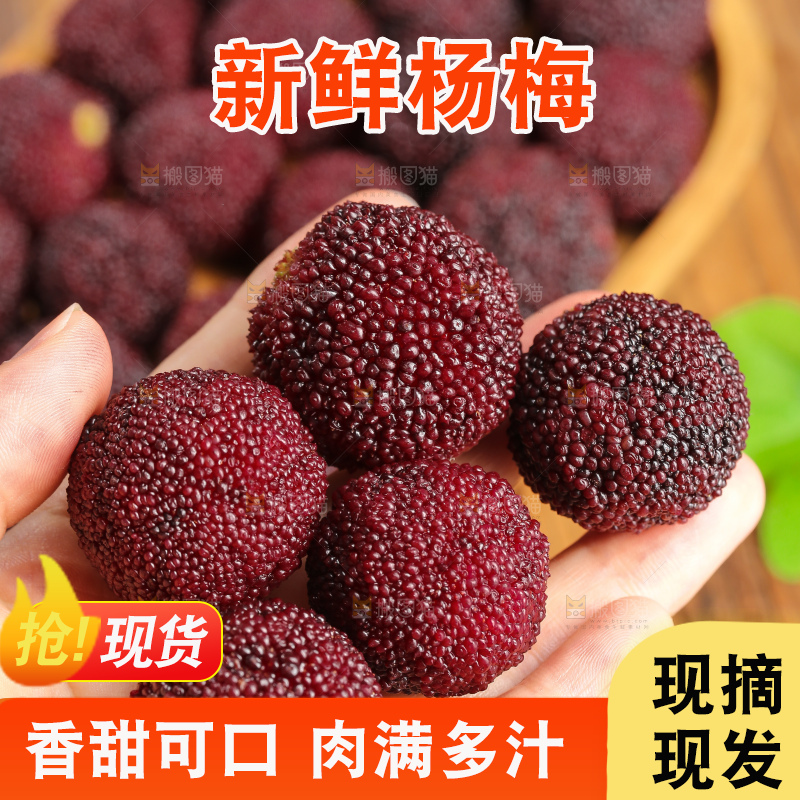 木底上的仙居杨梅
