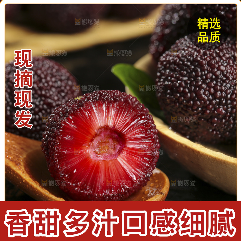 木底上的仙居杨梅