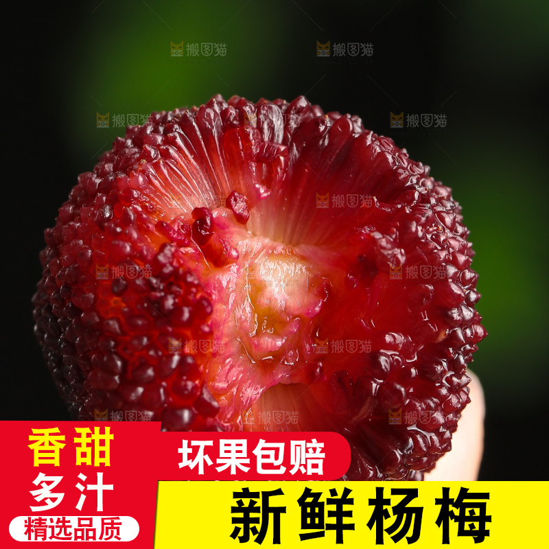 木底上的仙居杨梅