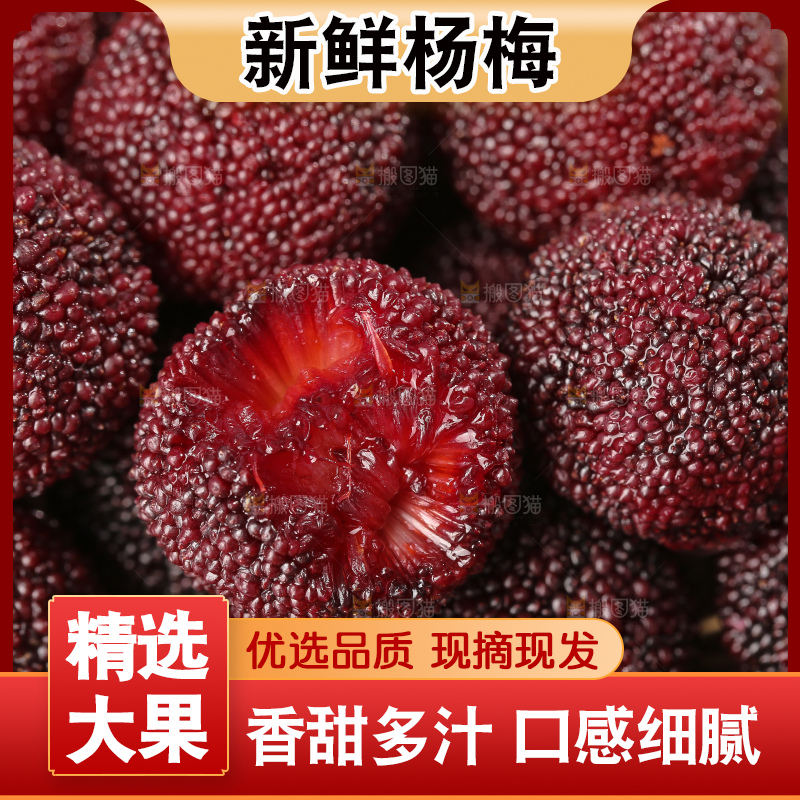 深底上的杨梅鲜果