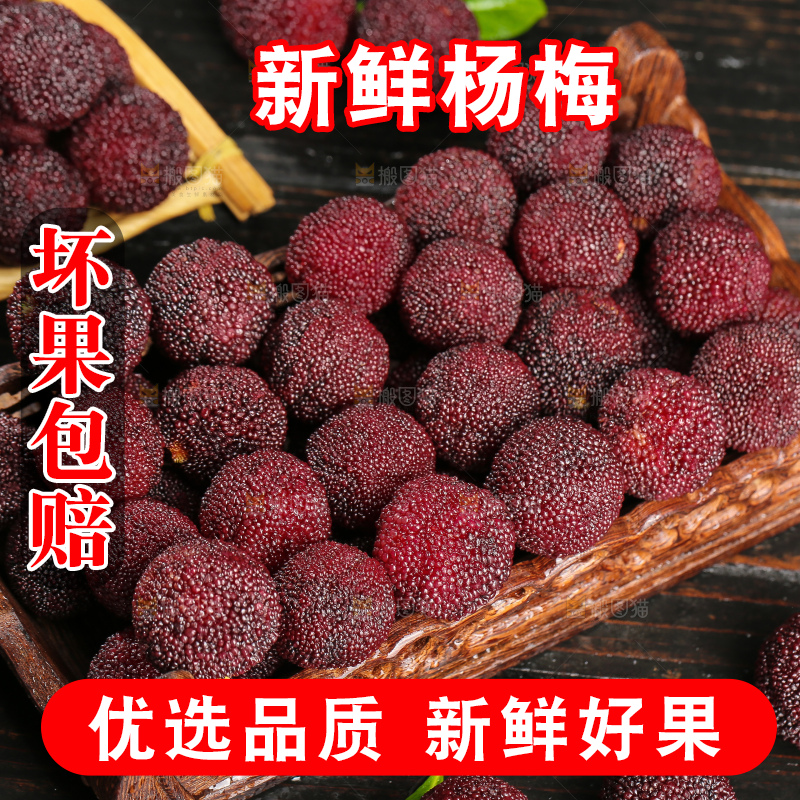 木底上的仙居杨梅