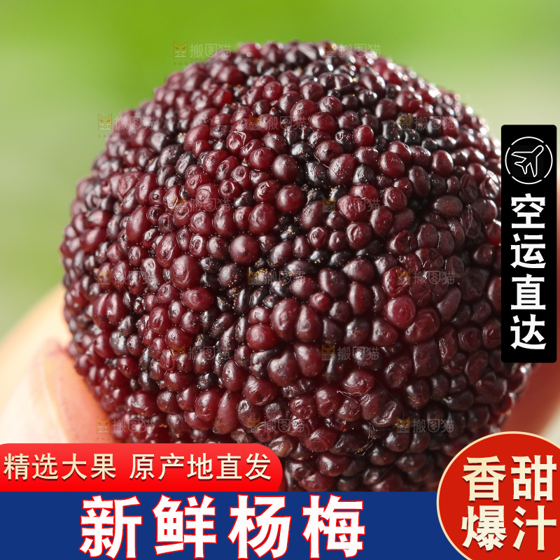 深底上的杨梅鲜果