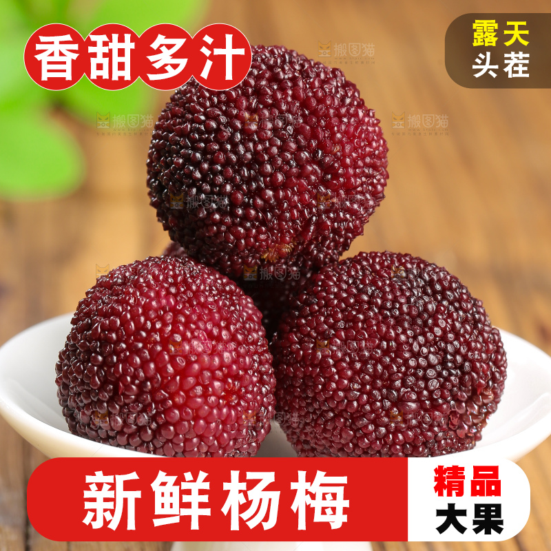 木底上的仙居杨梅