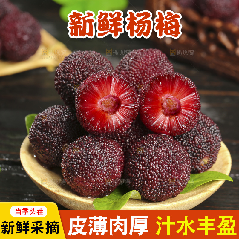 木底上的仙居杨梅