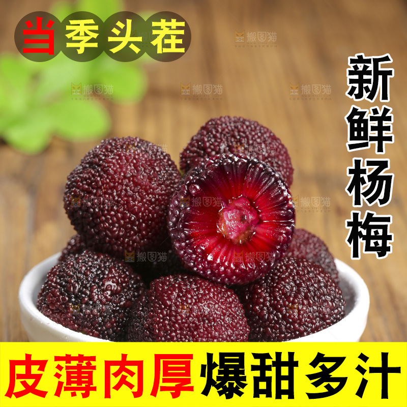 木底上的仙居杨梅